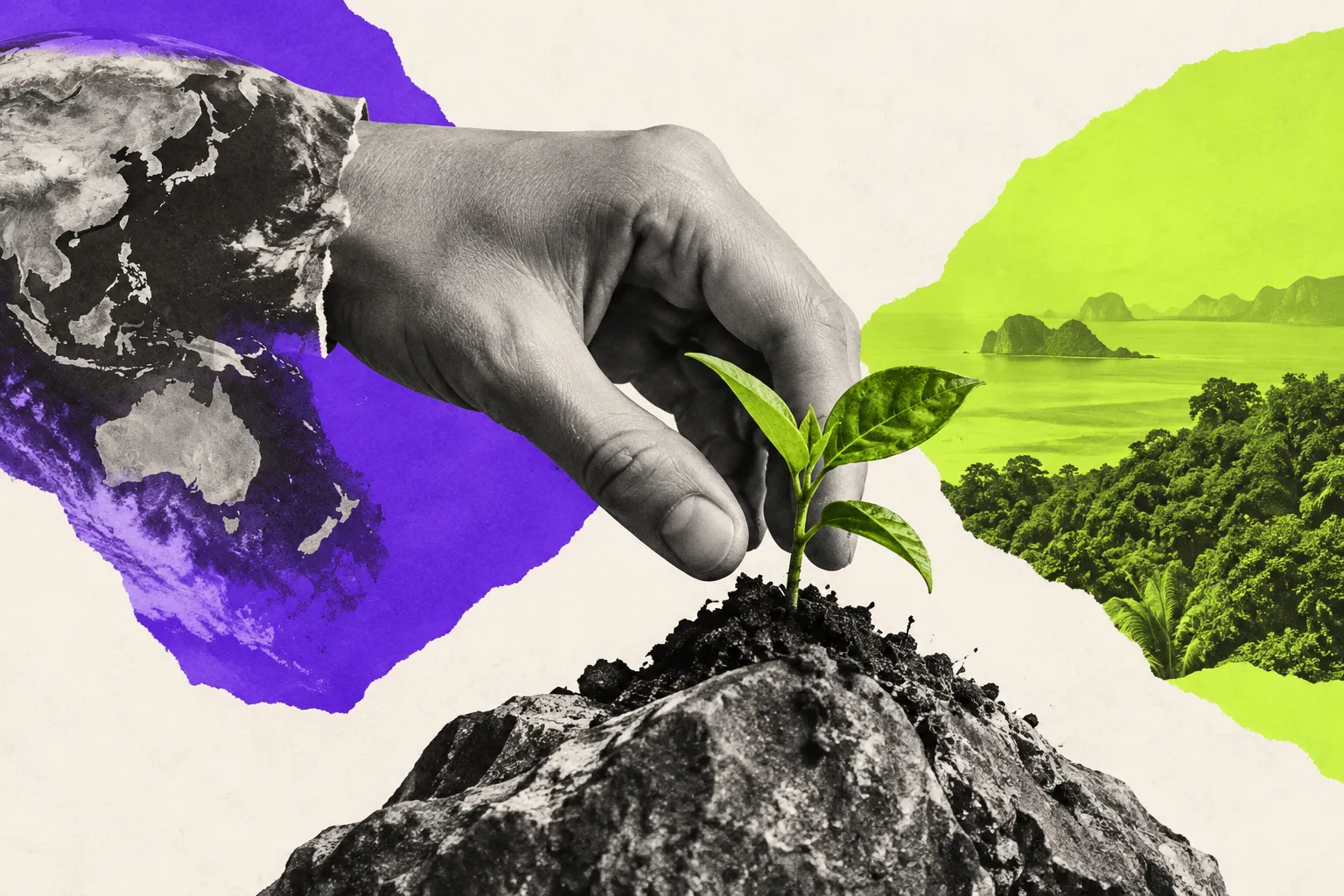 Editorial illustration for An AI accelerator turns toward environmental problems