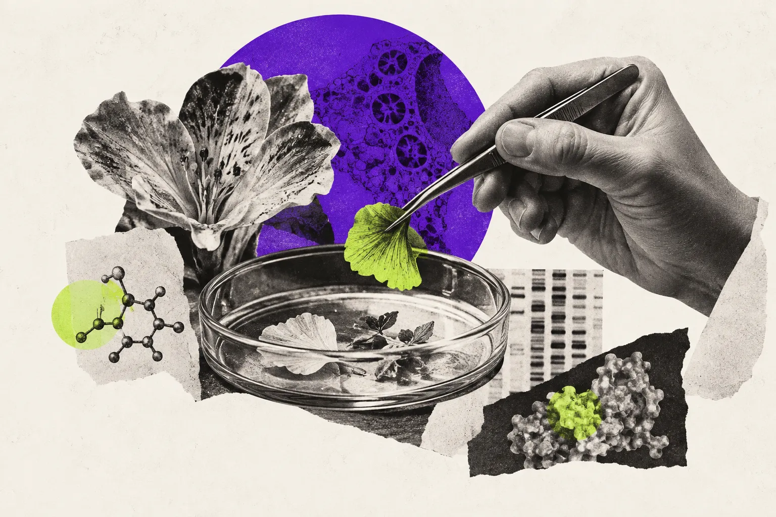 Editorial illustration for GPT-Rosalind extends its research capabilities
